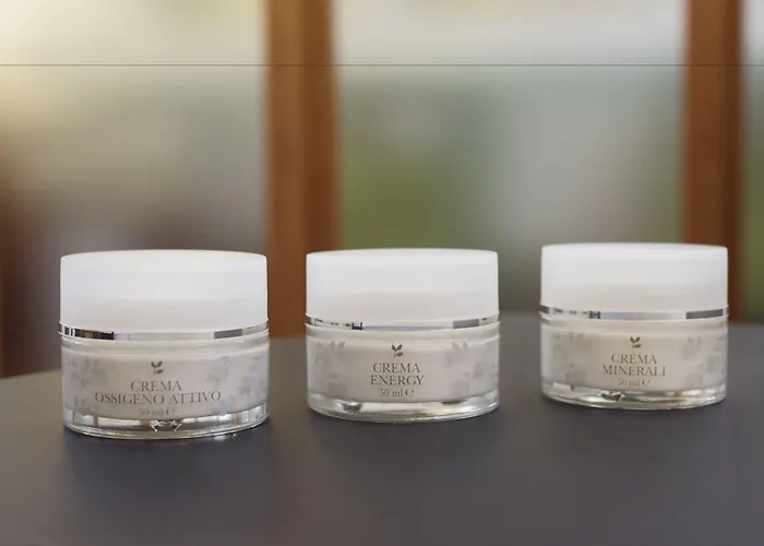 Hotel Grand Des Iles Borromées&spa