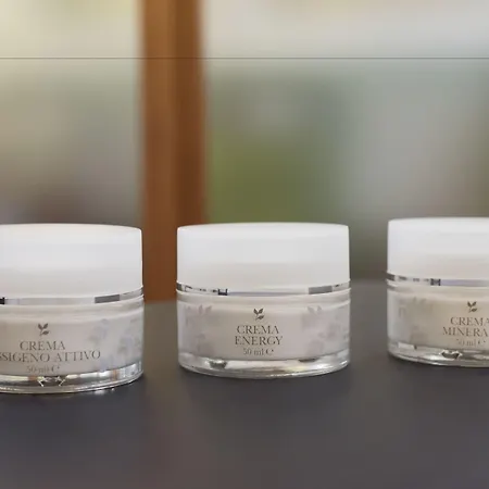 酒店 Grand Des Iles Borromees &